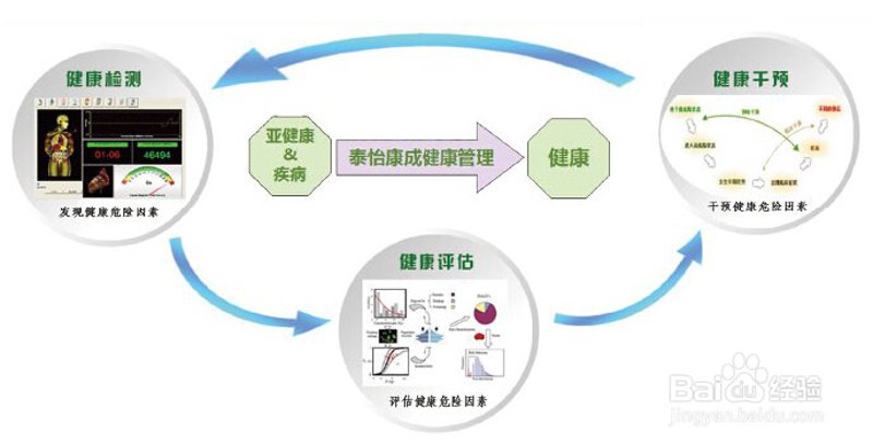 健康体检：守护生活的宝贵财富